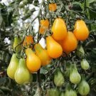 100 Yellow Pear Cherry Tomato Seeds Organic Easy to Grow 100 Yellow Pear Cherry Tomato Seeds Organic Easy to Grow