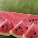 50 Charleston Grey Watermelon Seeds Organic Easy to Grow