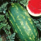 20 Stargazer Watermelon Seeds Organic Easy to Grow