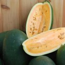 10 Sweet Siberian Watermelon Seeds Organic Easy to Grow