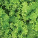 500 Green Lettuce Seeds Organic Easy to Grow