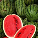 50 All Sweet Watermelon Seeds Organic Easy to Grow