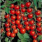 100 Flavor Bomb Cherry Tomato Seeds Organic Easy to Grow