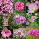 200 Pink Wildflower Seed Mix Organic Easy to Grow