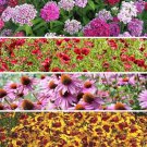 200 Shade Wildflower Seed Mix Organic Easy to Grow