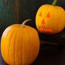 Jack O'Lantern Pumpkin Cucurbita Maxima Vegetable Seeds Perfect For Carving Easy to Grow Jack O'Lantern Pumpkin Cucurbita Maxima Vegetable Seeds Perfect For Carving Easy to Grow