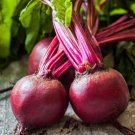 Bull'S Blood Beet Organic Beta Vulgaris Vegetable Seeds Mild Sweet Flavor Easy to Grow