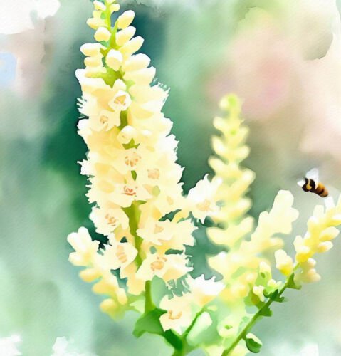 Reseda Odorata Sweet Mignonette Flower Seeds Showy Fragrant Flowers Easy to Grow