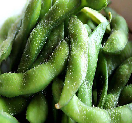 Edamame Bean Op Heirloom Glycine Max Vegetable Seeds Fun Snack Easy to Grow