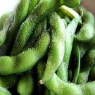 Edamame Bean Op Heirloom Glycine Max Vegetable Seeds Fun Snack Easy to Grow
