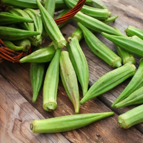 Emerald Okra Abelmoschus Esculentus Vegetable Seeds Mild Tender Flavor Easy to Grow