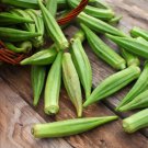 Emerald Okra Abelmoschus Esculentus Vegetable Seeds Mild Tender Flavor Easy to Grow