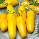 Banana Legs Tomato Roma Paste Tomato Lycopersicon Esculentum Tomato Seeds Easy to Grow