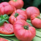 Mortgage Lifter Tomato Lycopersicon Esculentum Tomato Seeds Easy to Grow