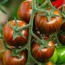 Tigerella Tomato Standard Slicing Lycopersicon Esculentum Tomato Seeds Easy to Grow
