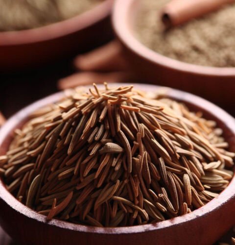 Cumin Cuminum Cyminum Herb Seeds Global Spice Easy to Grow