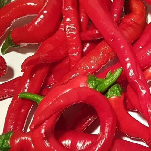 Portugal Pepper Hot Capsicum Annuum Vegetable Seeds Long Thin Shape Easy to Grow