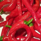 Portugal Pepper Hot Capsicum Annuum Vegetable Seeds Long Thin Shape Easy to Grow