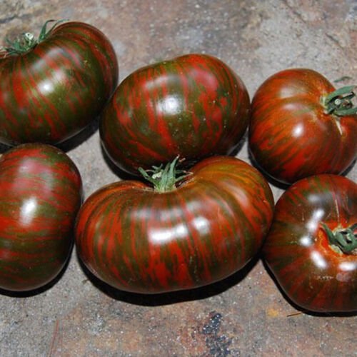 Chocolate Stripes Standard Slicing Lycopersicon Esculentum Tomato Seeds Easy to Grow