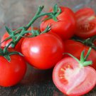 Siberian Tomato Standard Slicing Lycopersicon Esculentum Tomato Seeds Easy to Grow