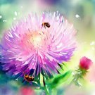 Callistephus Chinensis Aster China 'Powder Puff' Flower Seeds Elegant Blooms Easy to Grow