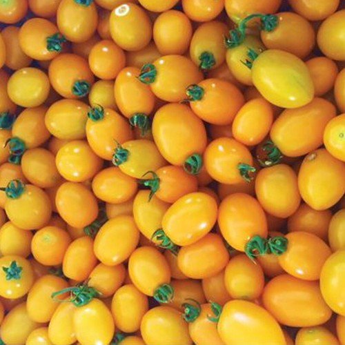Uva Orange F1 Hybrid Tomato Lycopersicon Esculentum Tomato Seeds Easy to Grow