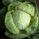 Savoy Cabbage Brassica Oleracea Vegetable Seeds Milder Sweeter Flavor Easy to Grow