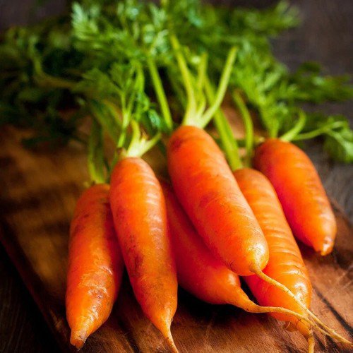 Danvers 126 Carrot Daucus Carota Vegetable Seeds Great For Juicing Easy to Grow