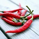 Cayenne Large Red Thick Pepper Hot Capsicum Annuum Vegetable Seeds Easy to Grow