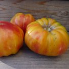 Old German Tomato Standard Slicing Lycopersicon Esculentum Tomato Seeds Easy to Grow