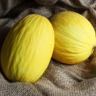 Crenshaw Melon Cucumis Melo Vegeatable Seeds Fragrant Aroma Easy to Grow