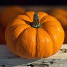 Jack Be Little Pumpkin Cucurbita Maxima Vegetable Seeds Miniature Size Easy to Grow