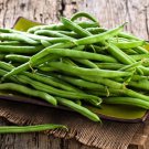 Landreth Stringless Green Bush Bean Phaseolus Vulgaris Vegetable Seeds Easy to Grow