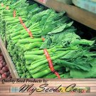 Chinese Broccoli Kai Lan Brassica Oleracea Var Alboglabra Vegetable Seeds Easy to Grow