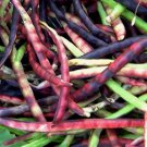 Top Pick Pinkeye Purple Hull Cowpea Vigna Unguiculata Vegetable Seeds Easy to Grow