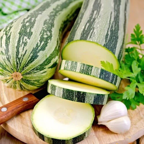 Caserta Squash Summer Cucurbita Pepo Vegetable Seeds High Yields Easy to Grow