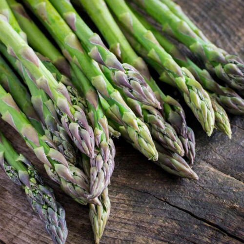 Mary Washington Asparagus Officinalis Vegetable Seeds Long Harvesting Life Easy to Grow