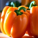 Orange Sun Orange Bell Pepper Sweet Capsicum Annuum Vegetable Seeds Easy to Grow