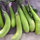 Louisiana Long Green Eggplant Solanum Melongena Vegetable Seeds Mild Flavor Easy to Grow