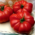 Grandma’S Pick F1 Hybrid Lycopersicon Esculentum Tomato Seeds Easy to Grow