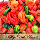 Ghost Pepper Bhut Jolokia Pepper Hot Capsicum Annuum Vegetable Seeds Easy to Grow