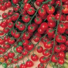 Sweet Million F1 Hybrid Tomato Lycopersicon Esculentum Tomato Seeds Easy to Grow