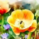 Eschscholzia Caespitosa California Poppy Dwarf Flower Seeds Elegant Blooms Easy to Grow