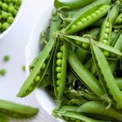 Thomas Laxton Garden Pea Pisum Sativum Vegetable Seeds Large Pods Easy to Grow