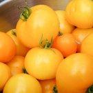 Golden Jubilee Tomato Lycopersicon Esculentum Tomato Seeds Easy to Grow