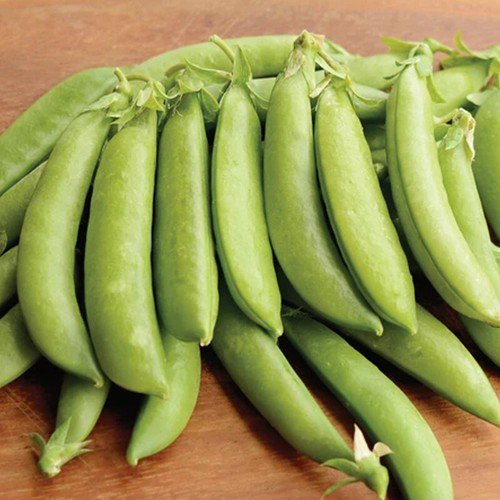Sugar Daddy Pea Edible Pod Snap Pea Pisum Sativum Vegetable Seeds Cold Hardy Easy to Grow