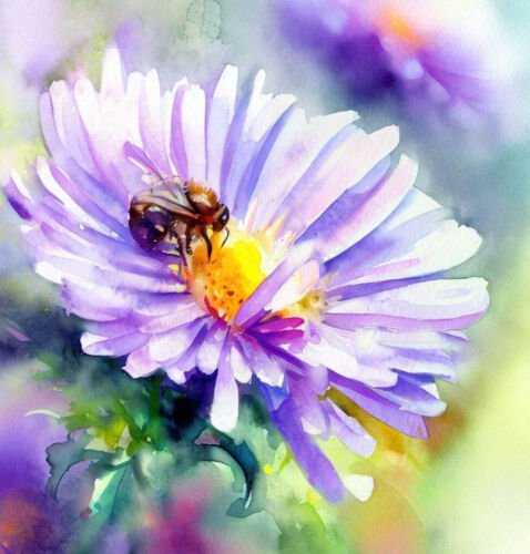 Aster Ptarmicoides White Upland Aster Flower Seeds Beautiful Fall Bloomer Easy to Grow