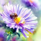 Aster Ptarmicoides White Upland Aster Flower Seeds Beautiful Fall Bloomer Easy to Grow