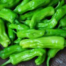 Pepperoncini Greek Golden Pepper Sweet Capsicum Annuum Vegetable Seeds Easy to Grow