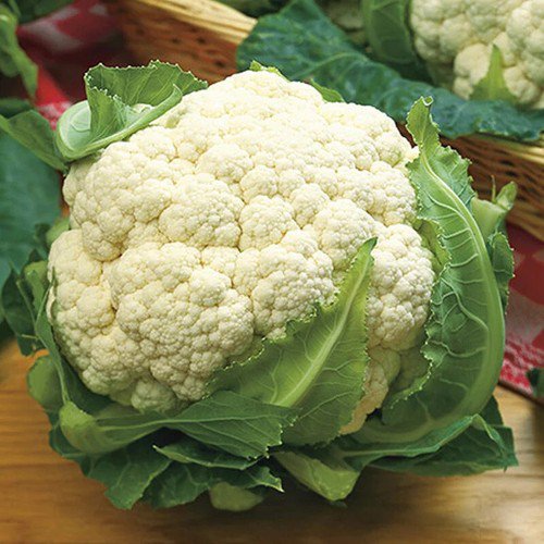 Snowball Y Improved Cauliflower Brassica Oleracea Vegetable Seeds Mild Sweet Easy to Grow